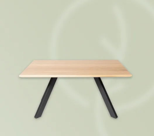 couchtisch-4-bo5a4552-210831-website-527x463-crop-50-50.webp