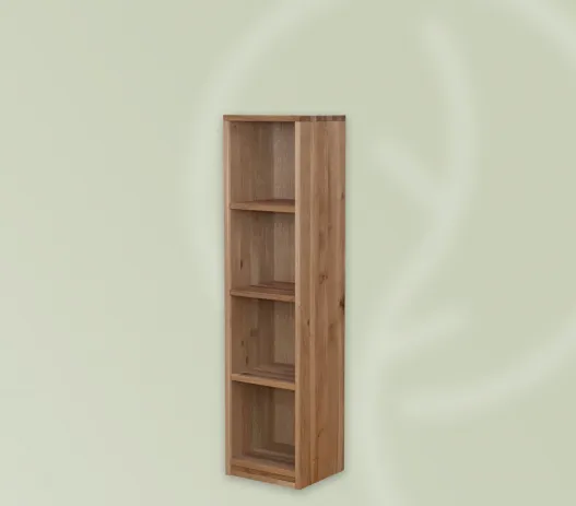 regal-walster-vier-schmal-seitlich-3-mitrueckwand-250107-website-527x463-crop-50-50.webp