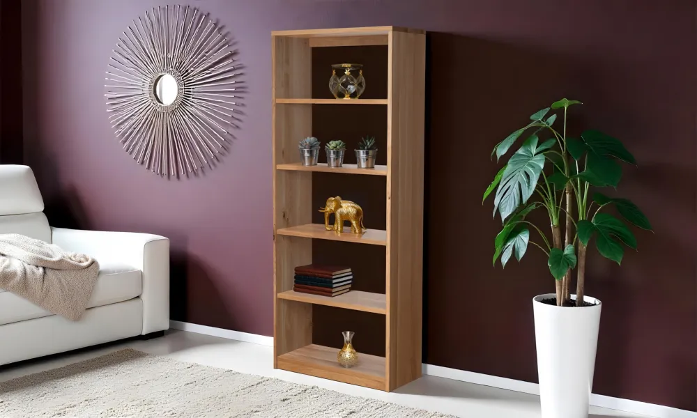 regal-walster-fuenf-breit-seitlich-wohnsituation-1-1000x600-crop-50-50.webp