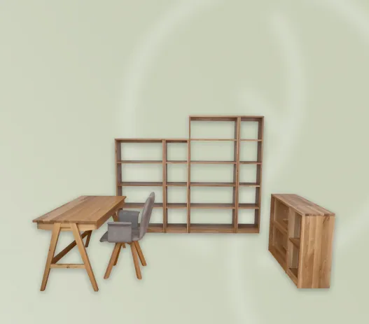 regal-walster-kombimitschreibtisch-3-250107-website-527x463-crop-50-50.webp