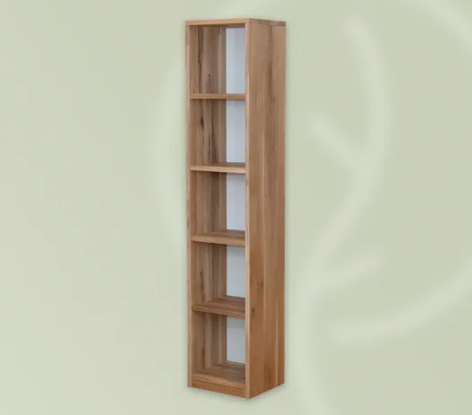 regal-walster-fuenf-schmal-seitlich-2-241219-website-527x463-crop-50-50.webp