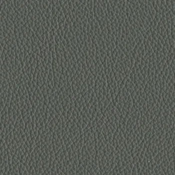 Leder grau